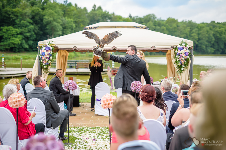 Adlerflug bei einer Hochzeit