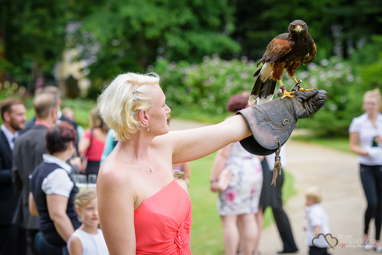 Adler auf dem Arm eines Hochzeitsgast
